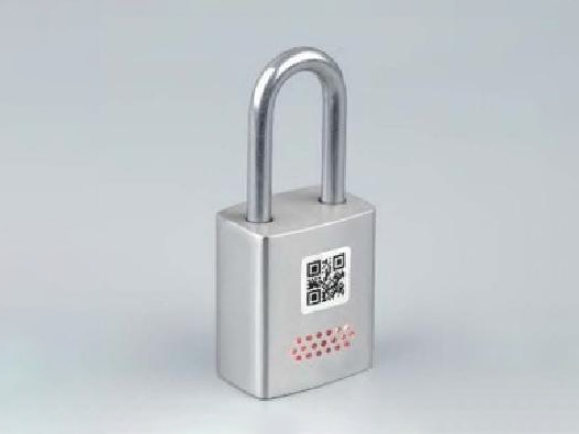 Smart Door Lock Series DS918-1A